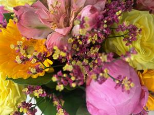 Photo 849113